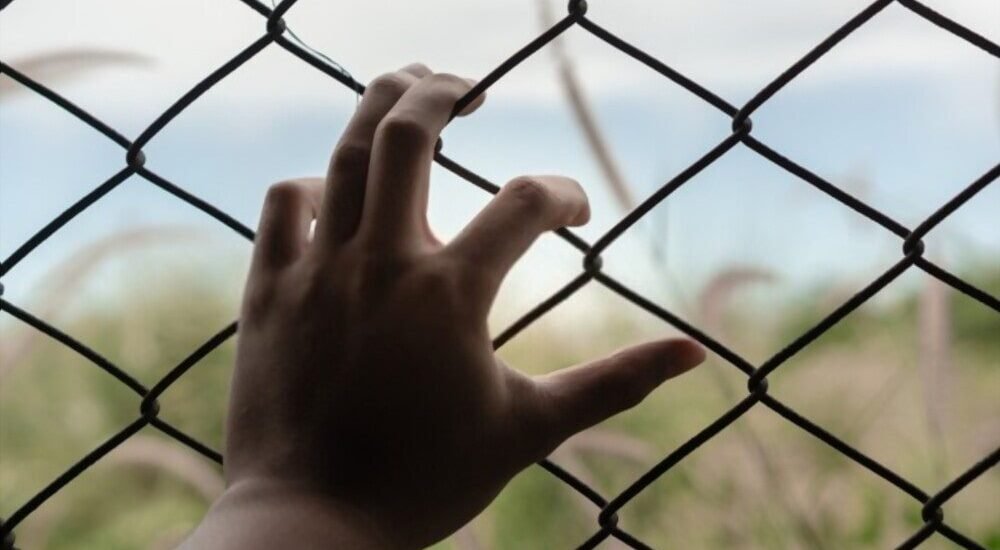hand of man on fence with nature