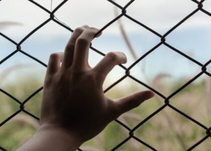 hand of man on fence with nature