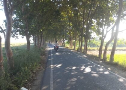 Shikarganj Road, Sirauna