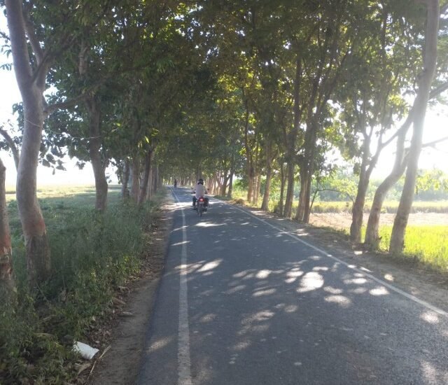 Shikarganj Road, Sirauna