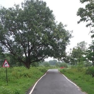 क्या रखा है बाहर, सब अंदर ही तो है