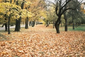 बुरा लगता है