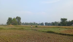 लम्हे गुजर गए