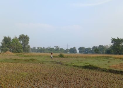 लम्हे गुजर गए