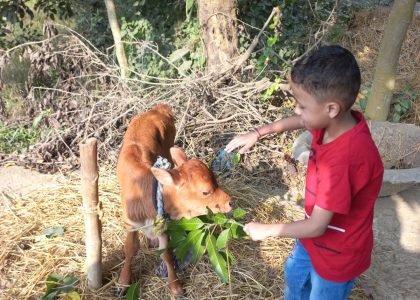 ये ज़िन्दगी